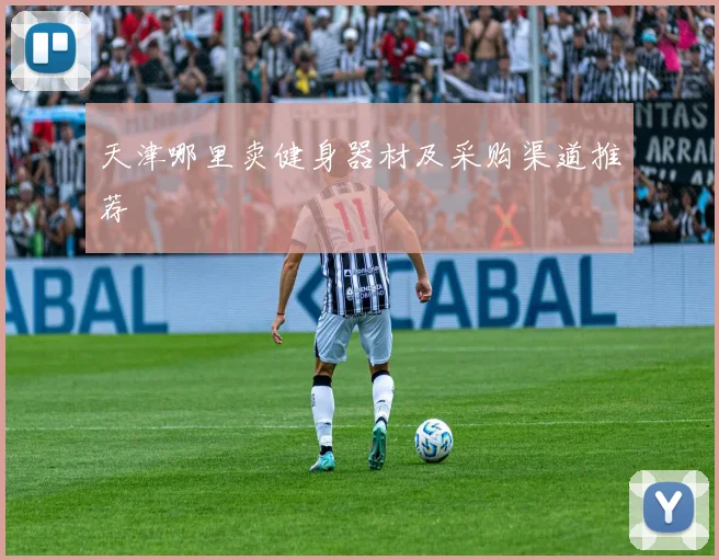 天津哪里卖健身器材及采购渠道推荐