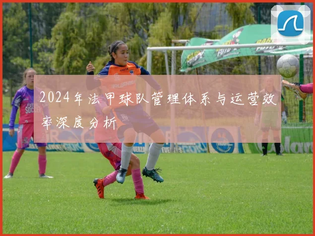 2024年法甲球队管理体系与运营效率深度分析