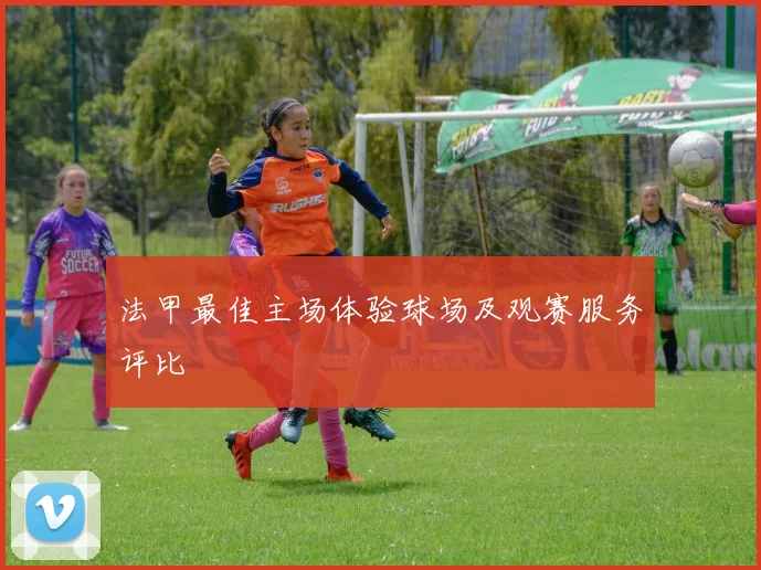 法甲最佳主场体验球场及观赛服务评比